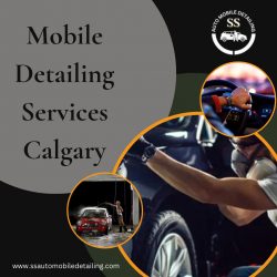 Mobile Detailing Services Calgary
