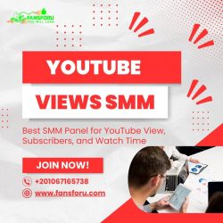 Best SMM Panel for YouTube View, Subscribers, and Watch Time