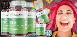 ZenLeaf CBD Gummies [ONLINE SALE 204] Most Worth It Supplement For Reduce Anxiety And Stress!