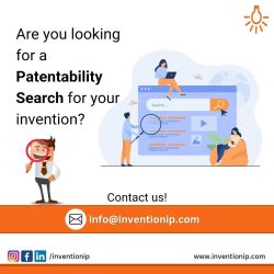 Novelty Search | Patentability Search Services | InventionIP