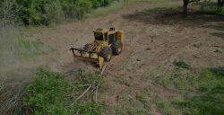 Professional and Reliable Land Clearing Services in Trapp, Kentucky