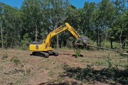 Professional Mulching Land Clearing Services in Rodanthe, NC
