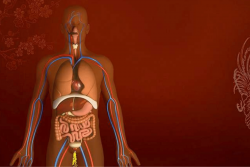 Virechana Treatment
