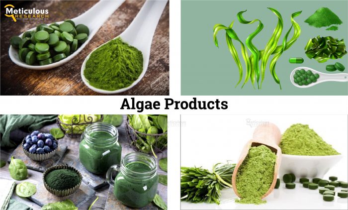 Algae Products Market to Reach $6.01 Billion by 2031