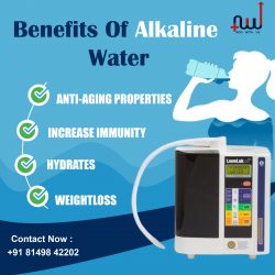 Alkaline Water Purifier Provider In India