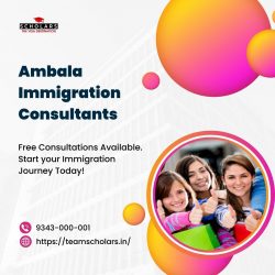 Ambala Immigration Consultants