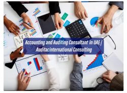 Accounting and Auditing Consultant – Auditac International