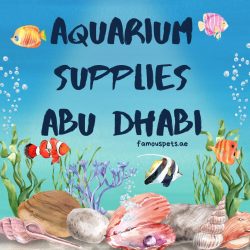 Aquarium Supplies Abu Dhabi | Famous Pets