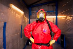 Artex and Asbestos: Does Your Home Need a Check-Up by Blue A?