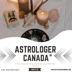 Astrologer in Canada – Free Astrologer Online Predictions