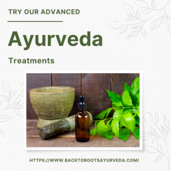 Get Premium Ayurvedic Treatments