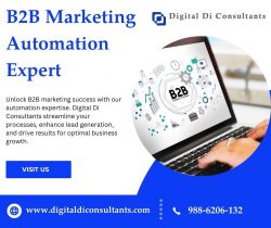 Mastering B2B Marketing Automation: Strategies from an Expert