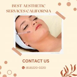 Best Aesthetic Services California