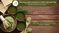Top Ayurvedic Doctor in Delhi | Expert Holistic Health Care