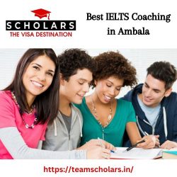 Best IELTS Coaching in Ambala