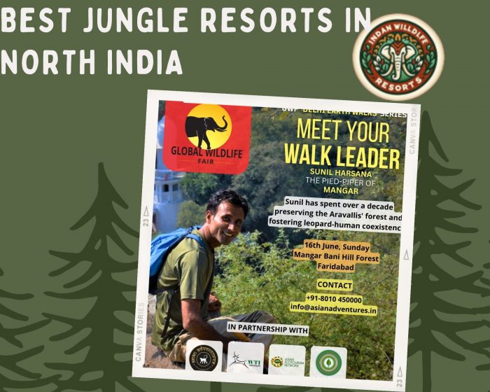 Best Jungle Resorts in North India