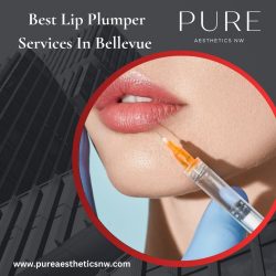 Best Lip Plumper Services In Bellevue