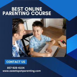 Best Online Parenting Course