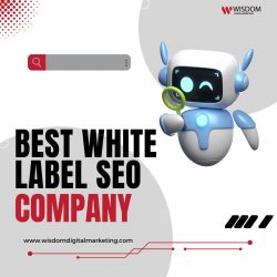 Top Reasons to Choose the Best White Label SEO Company