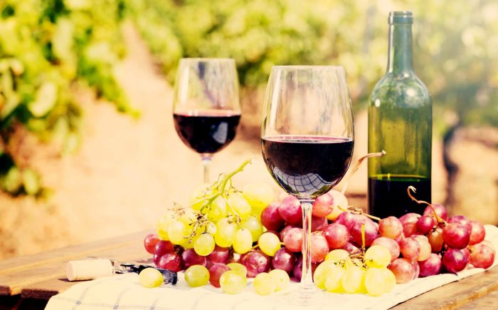 Best Wineries in North Georgia | Visit Towns County