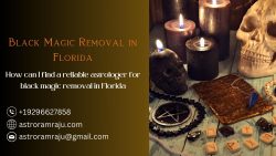 How can I find a reliable astrologer for black magic removal in Florida