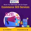 Boost Your B2B Sales with Our Expert Ecommerce SEO Services