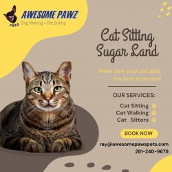 Best Cat Sitting in Sugar Land – Awesome Pawz Pet Care