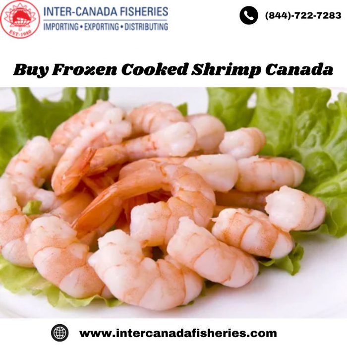 Buy Frozen Cooked Shrimp Canada