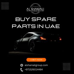 Buy Affordable Spare Parts In UAE – Al Shamali Auto Parts Group