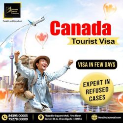 Canada Tourist Visa | Freebird Abroad Consultant In Chandigarh