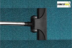 Carpet Cleaning Sutherland: Professional Cleaners You Can Trust