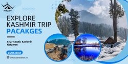 Best of Kashmir: 4-Day Ultimate Tour Package