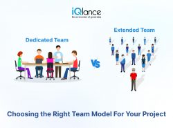 Dedicated Team vs Extended Team: Choosing the Right Team Model For Your Project