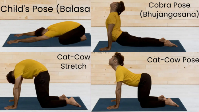 Yoga for Chronic Pain Relief: A Complete Guide to Pain Reduction