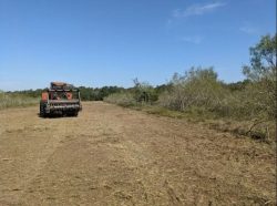 Land Clearing company In Bosque County