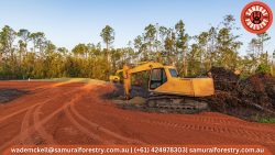 Want Professional Land Clearing?