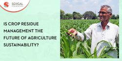 Crop residue management – The future of sustainable agriculture