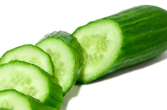 Cucumber Extract Manufacturers and Suppliers in India