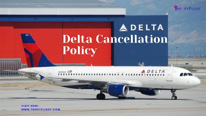Delta Cancellation Policy | Trippy Flight