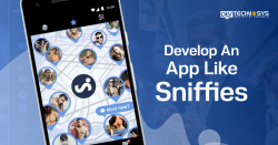 How Much Does It Cost to Build An App Like Sniffies?