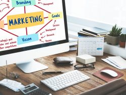 Digital marketing company Johannesburg: Fenix Marketing Excels