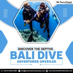 Discover the Depths: Bali Dive Adventures Unveiled