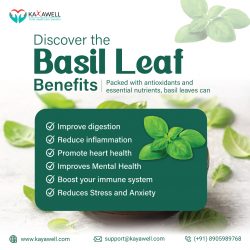 Basil Leaf Benefits for Your Brain and Your Body