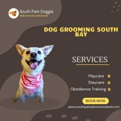 Dog Grooming South Bay