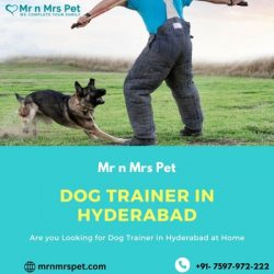 Professional Dog Trainer in Hyderabad