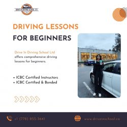 Driving Lessons for Beginners