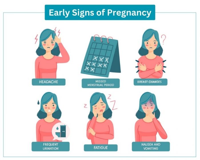 Understanding Early Signs of Pregnancy