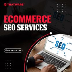 Benefit from Thatware LLP’s unrivaled E-Commerce SEO Services to increase your online visi ...
