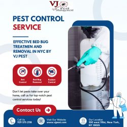Effective Bed Bug Treatment and Removal in NYC by VJ Pest