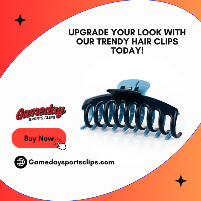 Elevate Your Hairstyle with Our Unique Hair Clips!
